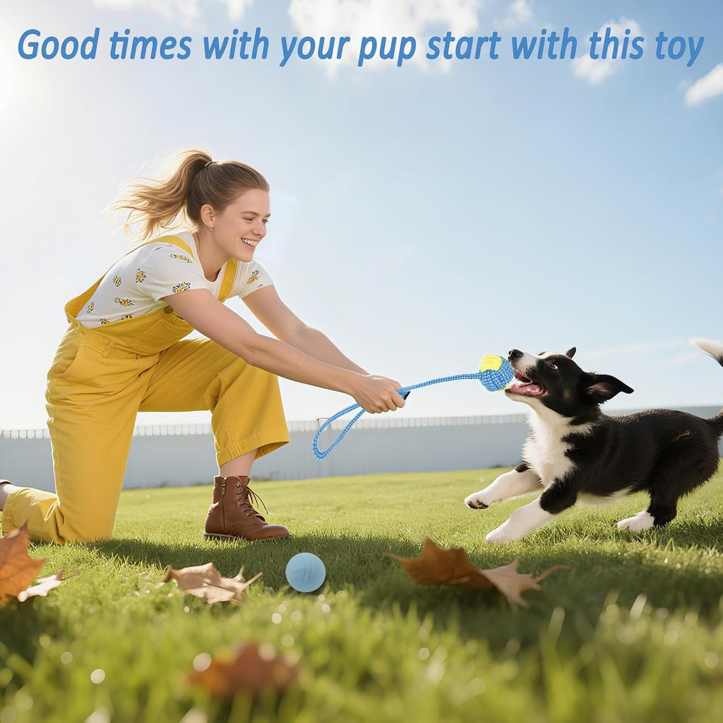 20 Pack Puppy Chew Toys - Blue Dog Teething Toys for Puppies, Puppy Teething Rings and Ropes, Rubber Toy Bundle for