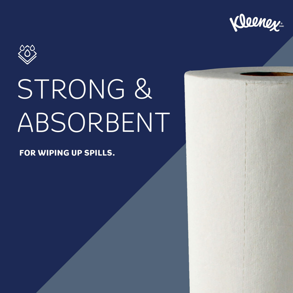 Professional Kitchen Paper Towel Rolls, 24 x 70 Sheets (13964)