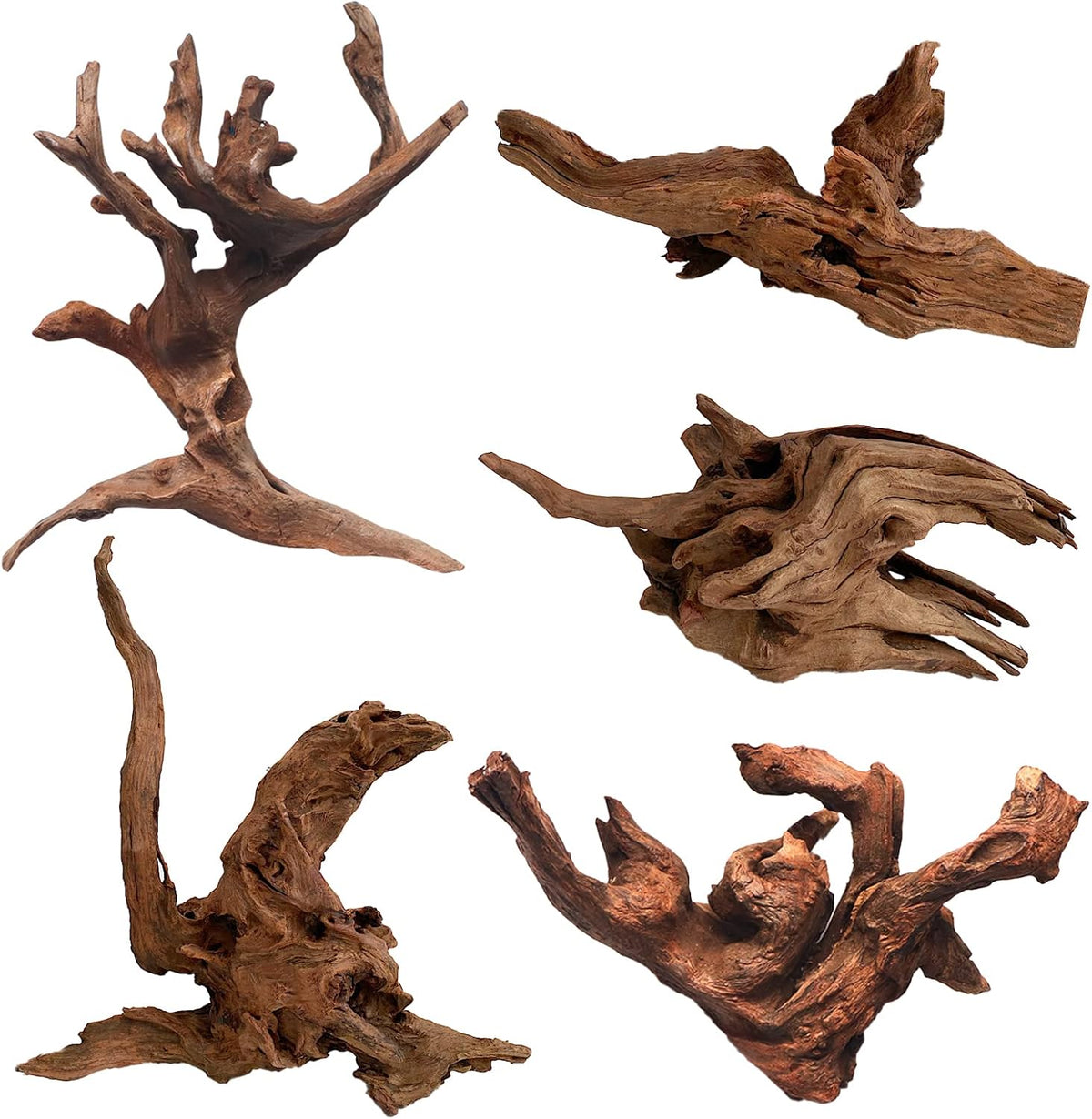 5 Pcs Driftwood Branches 5.5"-8.6" Aquarium Wood Decoration