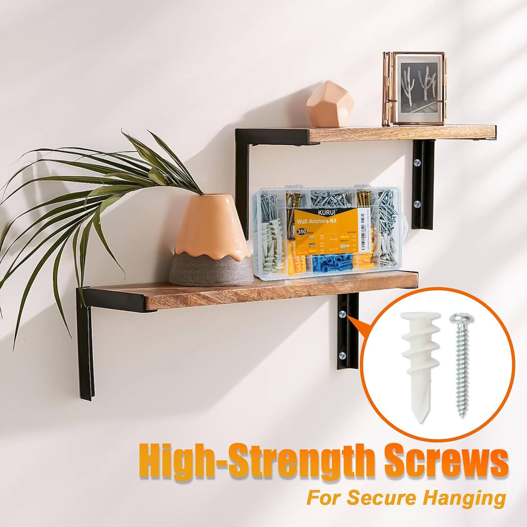 Drywall Anchors Assortment Kit for Sheetrock Concrete Brick, 350Pcs Wall Anchors and Flat Head Screws, 5 Sizes