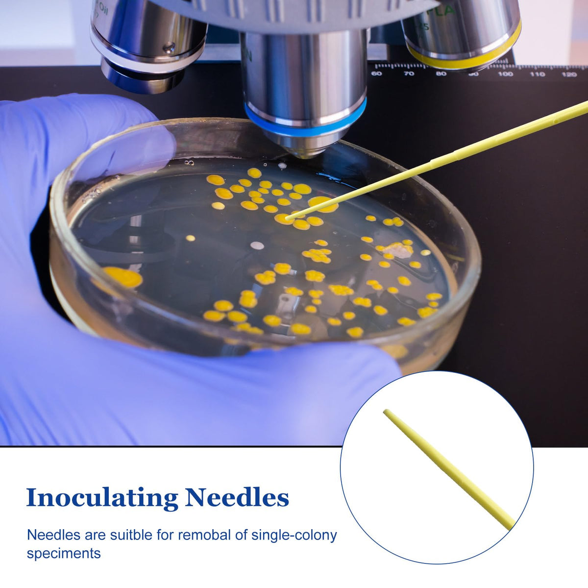Biologix 25PCS Disposable Inoculating Needles, Gamma Sterilization, Inoculation Needle, Polystyrene, Use for Removal