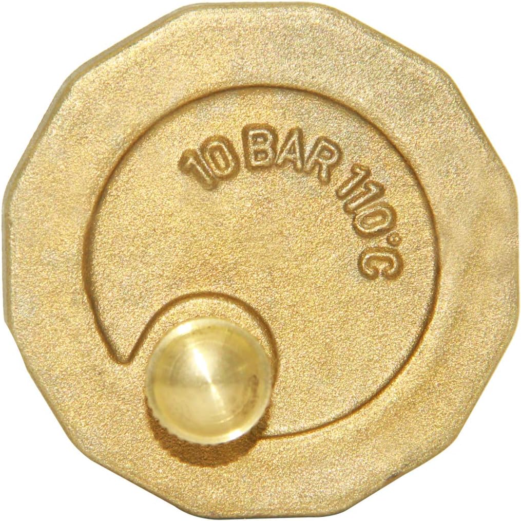 Beduan Brass 10500-VE Automatic Float Valve, 3/4" Male Thread Air Release Valve Air Bleeder Valve Vent Valve
