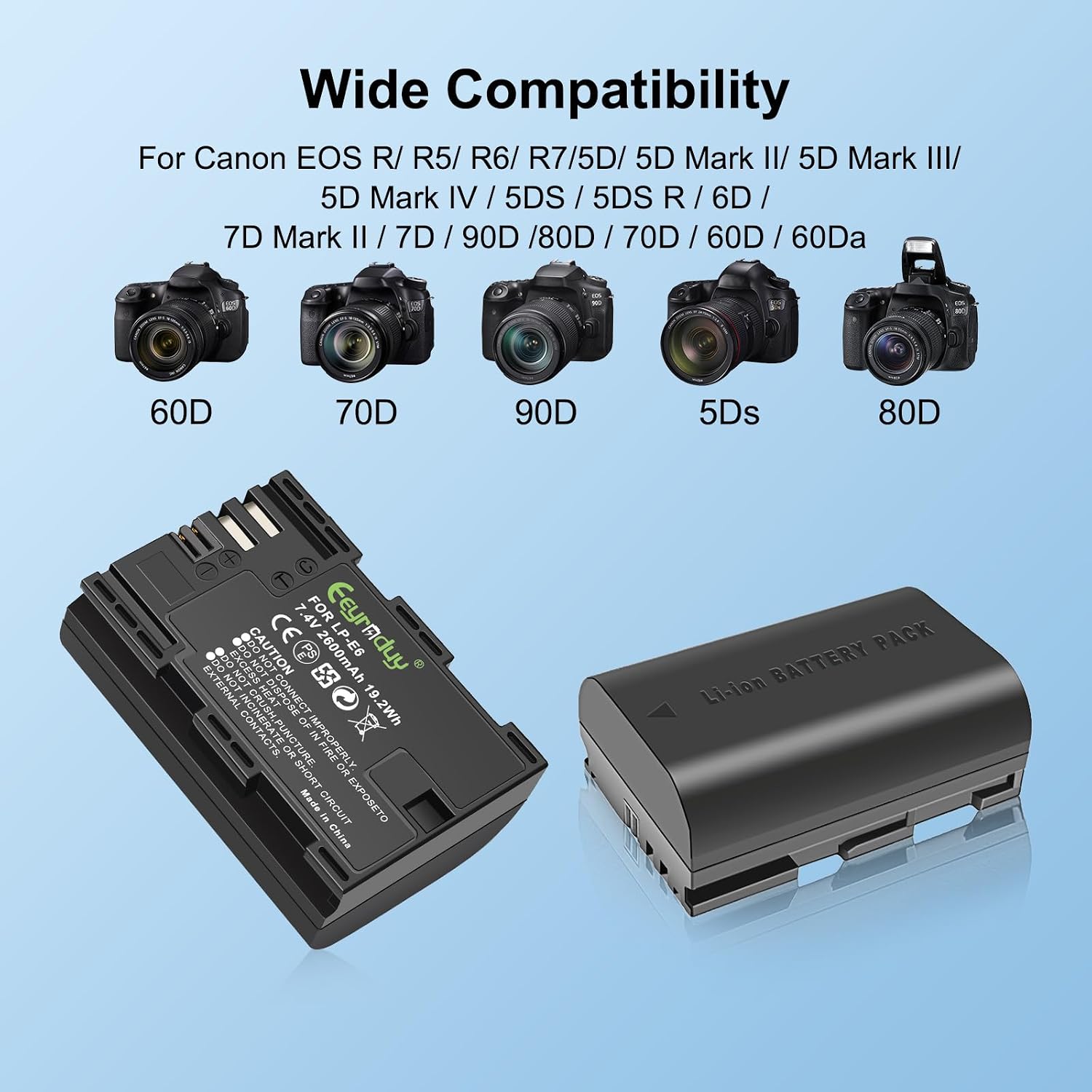 2600mAh 2-Pack of LP-E6 Batteries and Dual Battery Charger Replacement LP-E6 LP-E6N for Canon EOS R R5 R6 R7 60D
