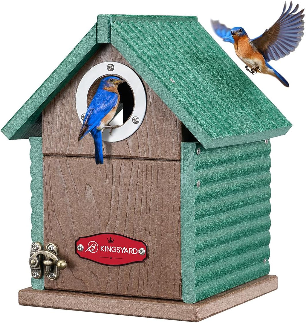 Bluebird House with Predator Guard, Recycled Poly Lumber