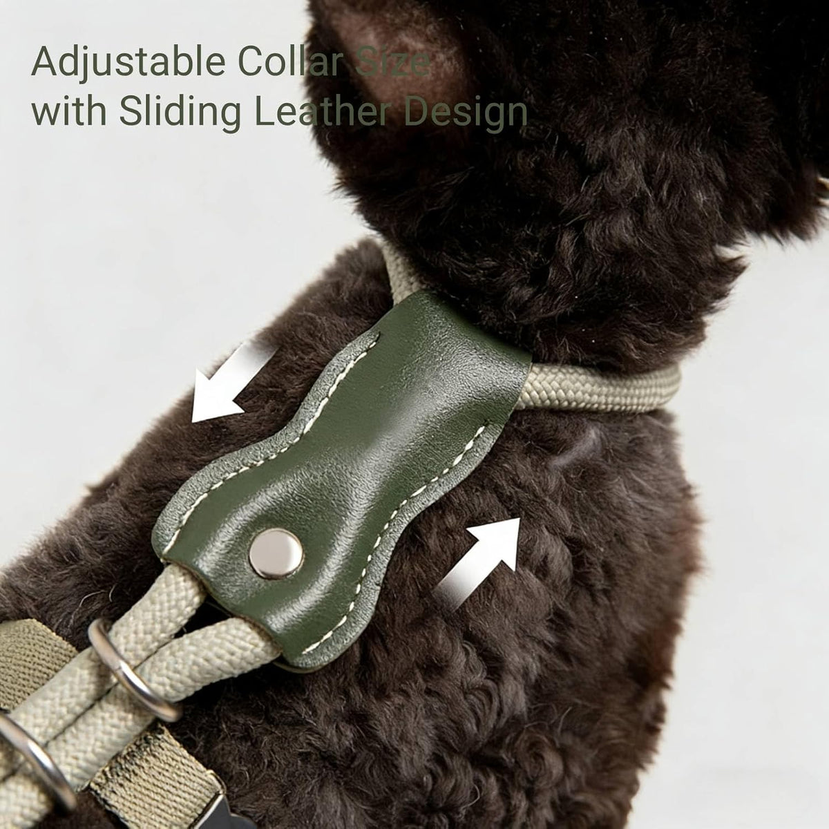 Adjustable Escape Proof Cat Harness and Leash Set