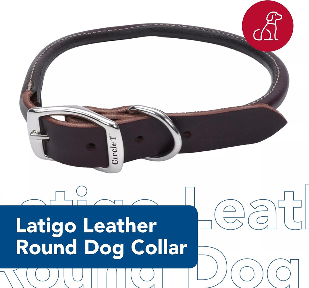 Pet Leather Dog Collar, Coastal Pet Circle T Latigo, 3/8" x 18"