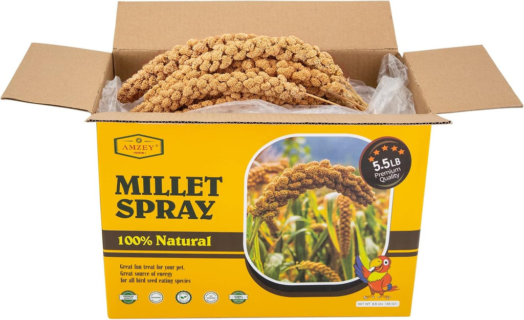 5.5LB Spray Millet for Parakeets, 100% Natural Sun-Dried Healthy Bird Treat, Non-GMO High Protein Fresh Millet Spray