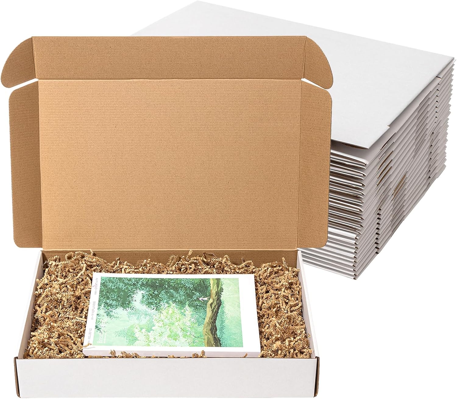 17x11x3" Shipping Boxes 20 Pack White Corrugated Cardboard Box | 3 Layers, Medium Literature Mailer Packaging