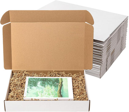 17x11x3" Shipping Boxes 20 Pack White Corrugated Cardboard Box | 3 Layers, Medium Literature Mailer Packaging