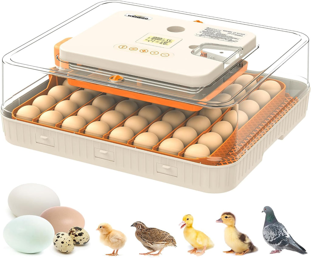 Incubators for Hatching Eggs Egg Incubator 56 Eggs with Auto Egg Turner for Duck Chicken Goose Eggs