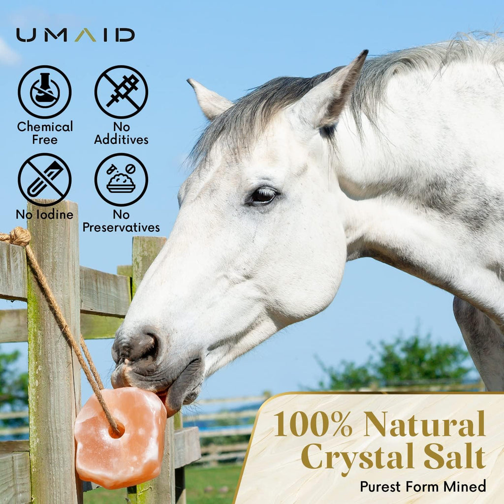 Himalayan Salt Lick 6 lbs on Rope for Horse, Deer, Goat & Livestock Animals, Salt Lick Deer, Salt Lick for Horses