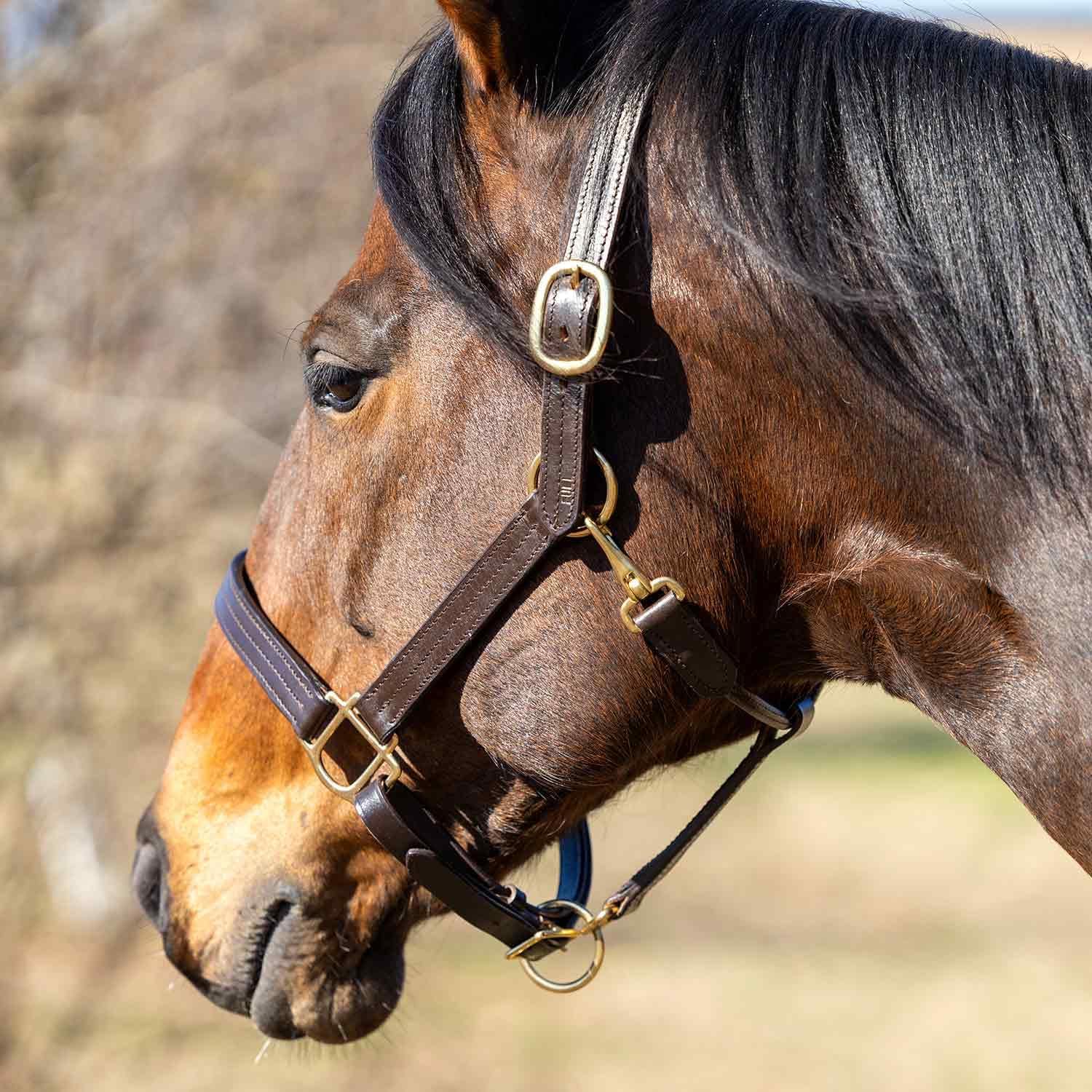 Versailles Triple Stitched Leather Horse Halter with Double Buckle Crown & Throat Snap, Adjustable Premium Leather