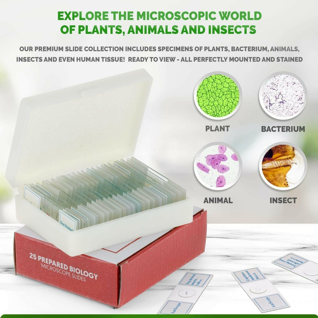PS25P 25pc Prepared Glass Microscope Slides in Plastic Case | 25 Prepared Slides Professionally Stained & Labeled