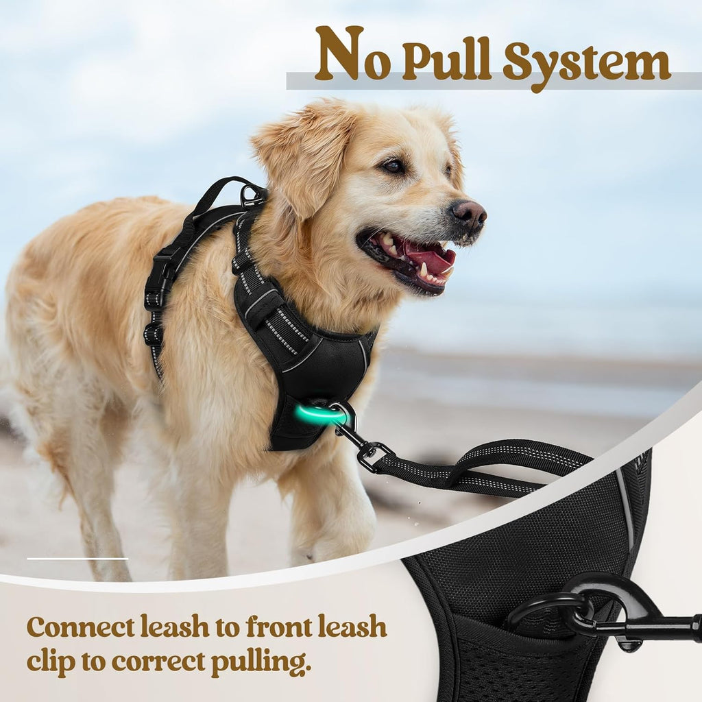 Dog Harness No Pull with 2 Leash Clips, Adjustable Soft Padded, Reflective Oxford No Choke Pet Vest with Easy Control