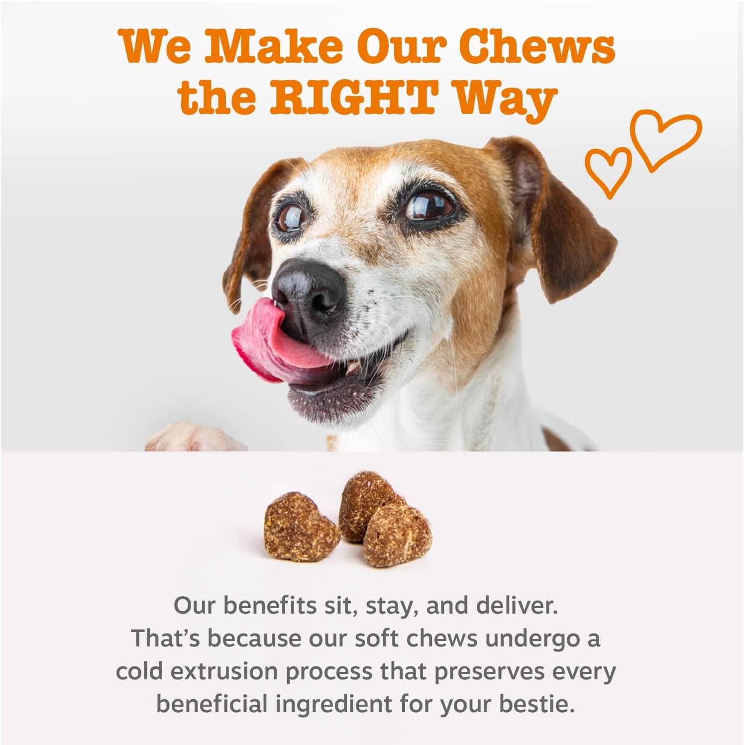 Dog Multivitamin, Chewable Dog Vitamins and Supplements for Hip & Joints, Skin & Coat, Omega 3 Fish Oil for Dogs