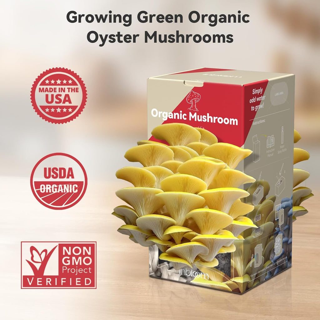 Large Organic Oyster Mushroom Growing Kit(4 lbs)