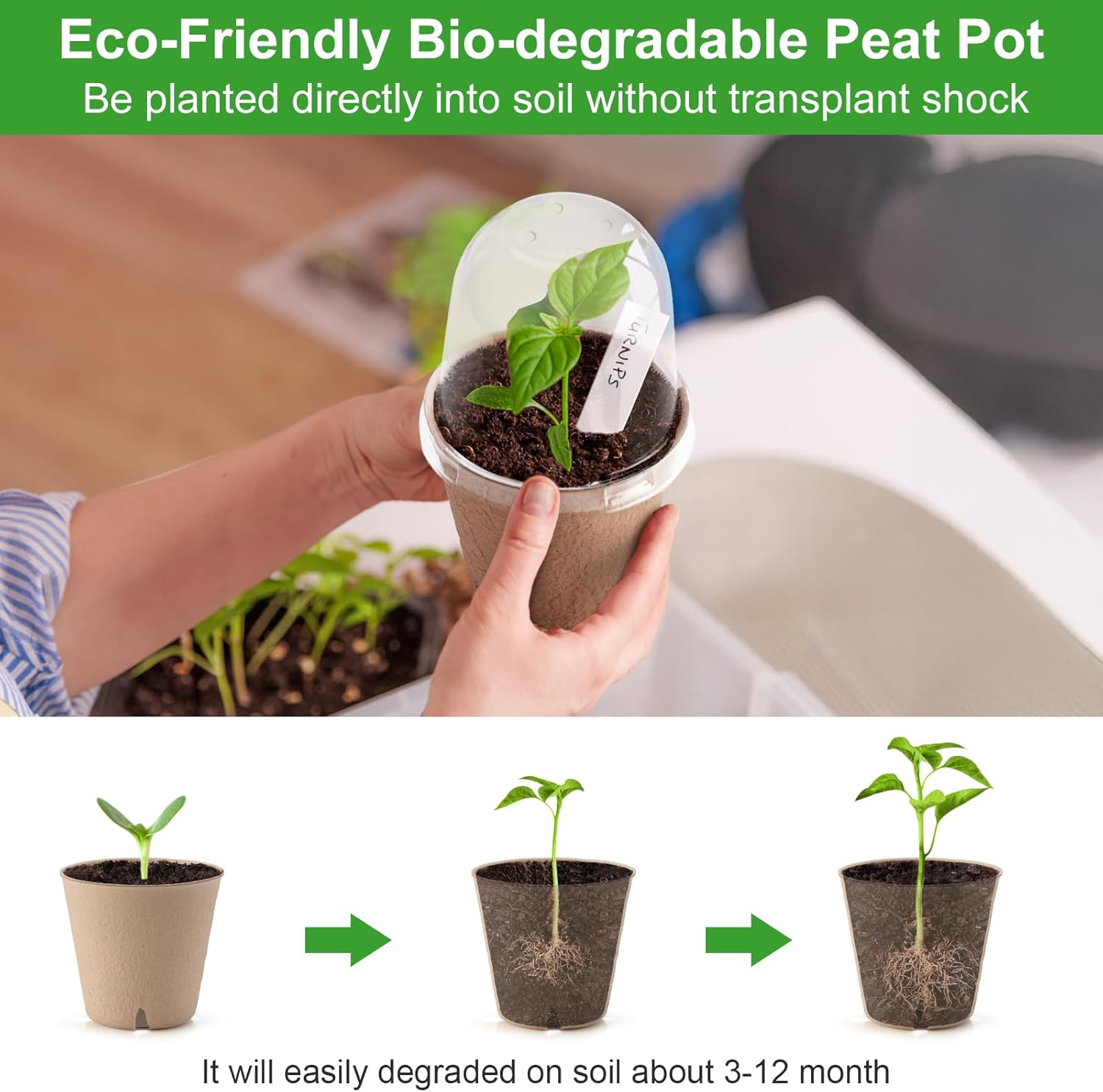 36 Set 3.15 Inch Peat Pots Plant Starters for Seedling with Humidity Dome,Herb Seed Starter Pots Kits, Garden