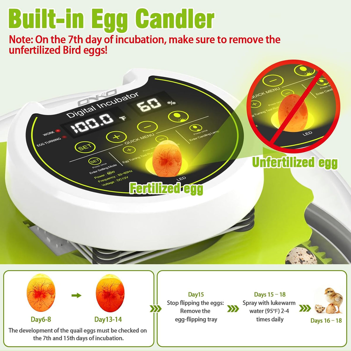 Quail Egg Incubator for Hatching 40 Quail Eggs with Automatic Turner