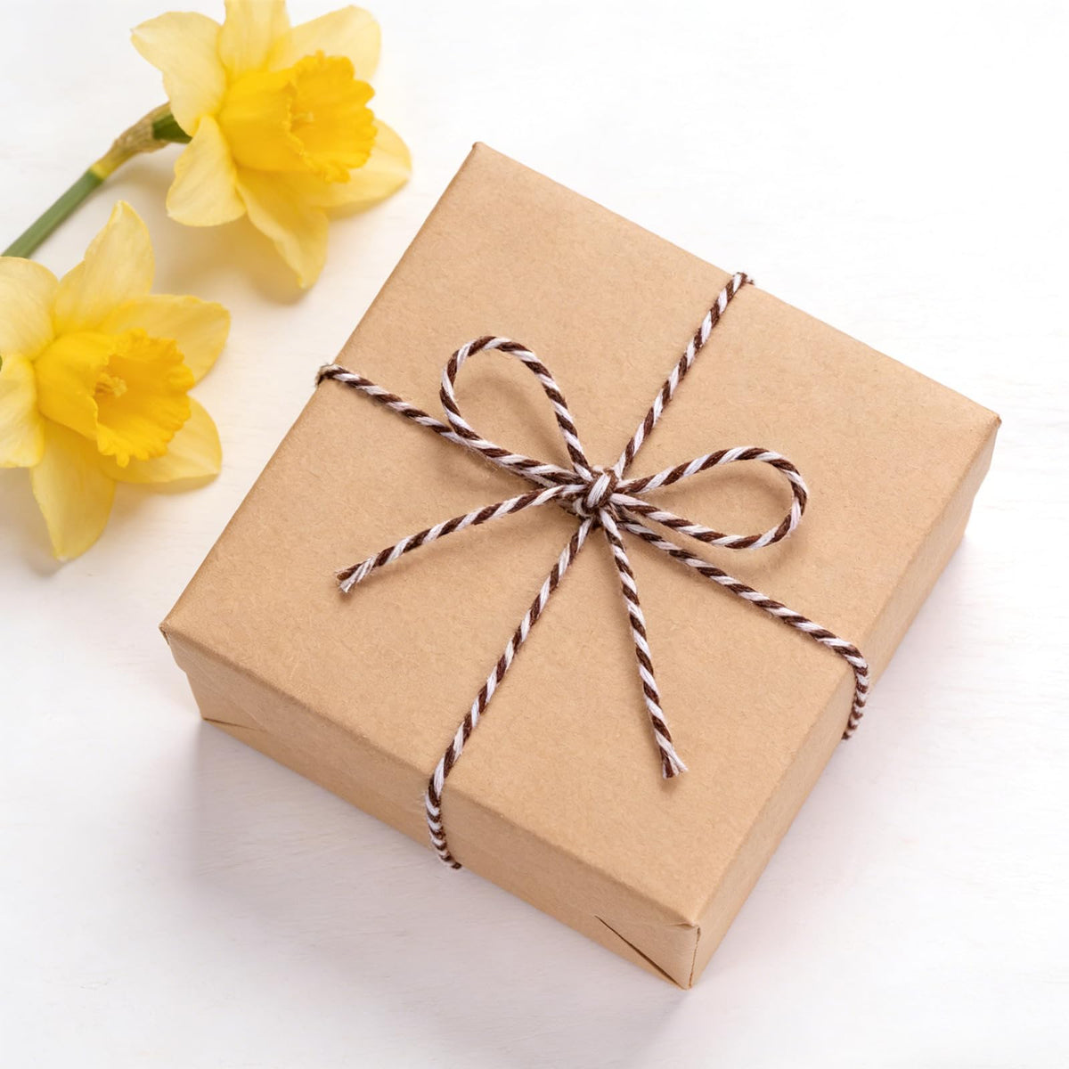 White Brown String - 2mm 328ft Cotton Twine String for Gift Wrapping, Baking, DIY Crafts, Holiday Decorations (White