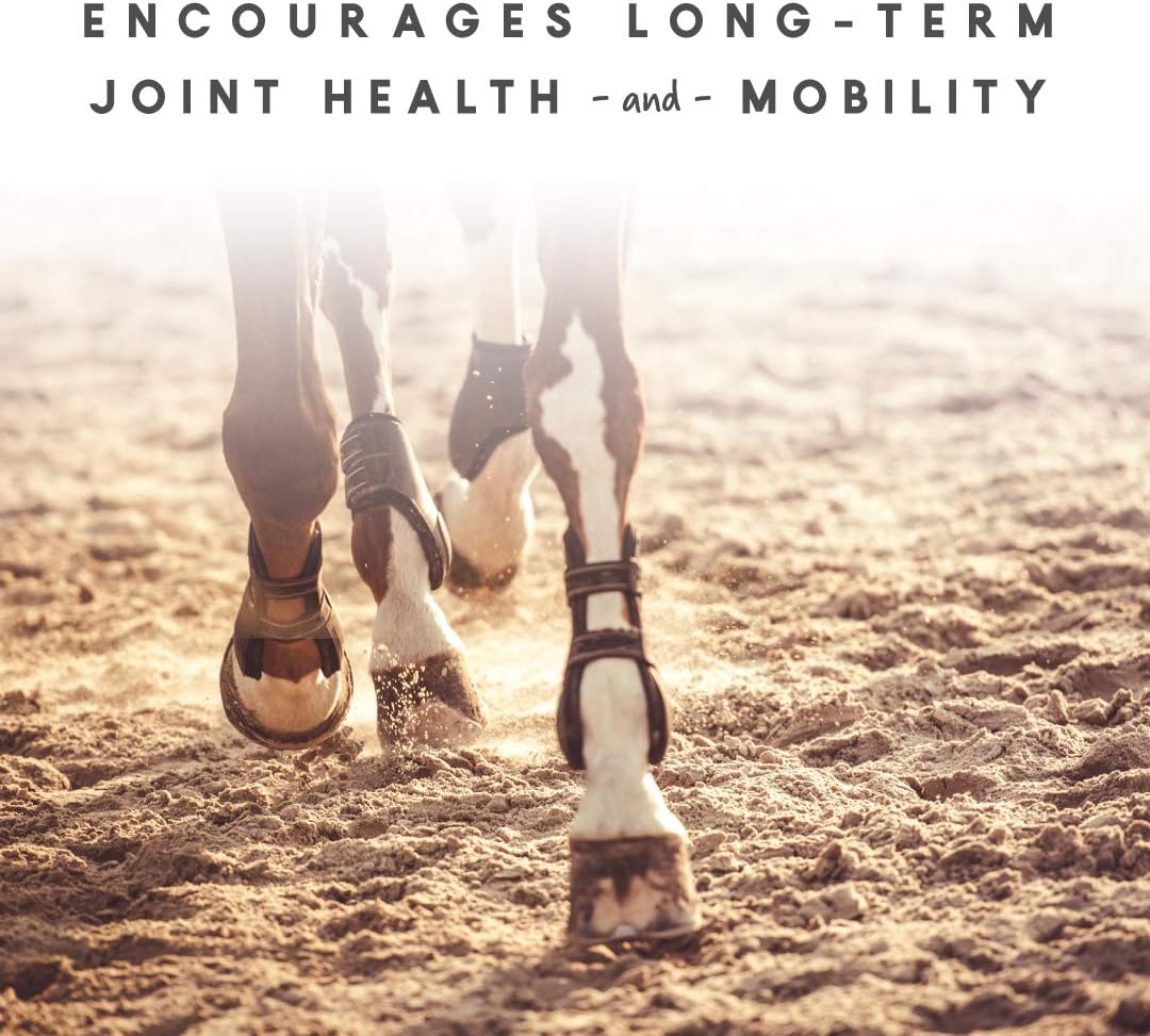 Cetyl-M Horse Joint Supplement with Omega-5, 5.1 lb