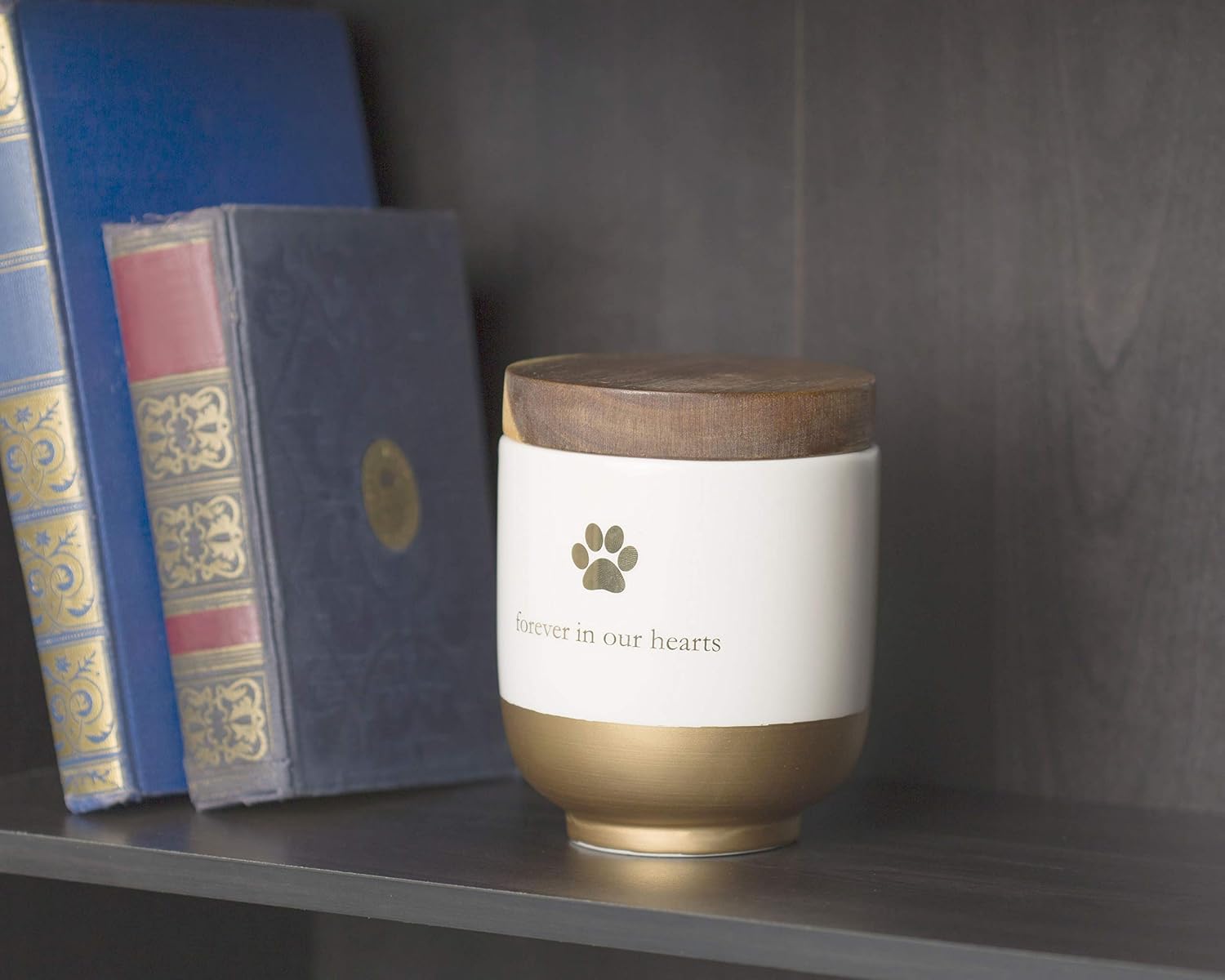 Pet Ceramic Forever in Our Hearts Urn, Pet Memorial, Gold
