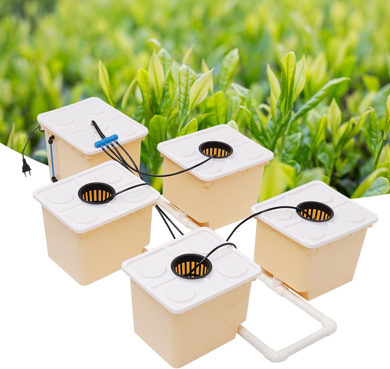 DWC Hydroponics Grow System, 2.91 Gallon 5 Buckets Deep Water Culture DWC Hydroponic Grow System Kit with 4W Pump
