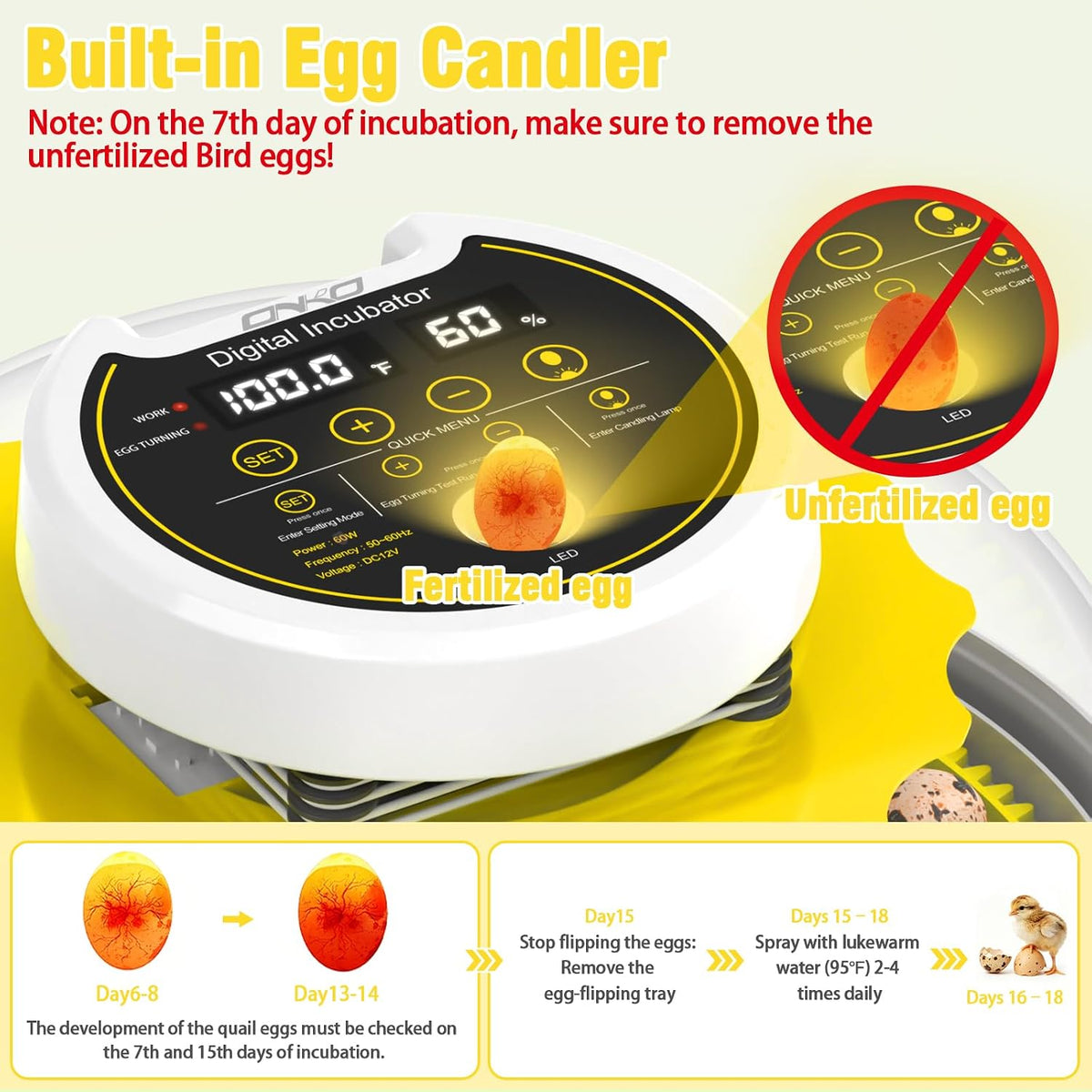 40 Quail Egg Incubator with Automatic Egg Turning Humidity Control Eggs
