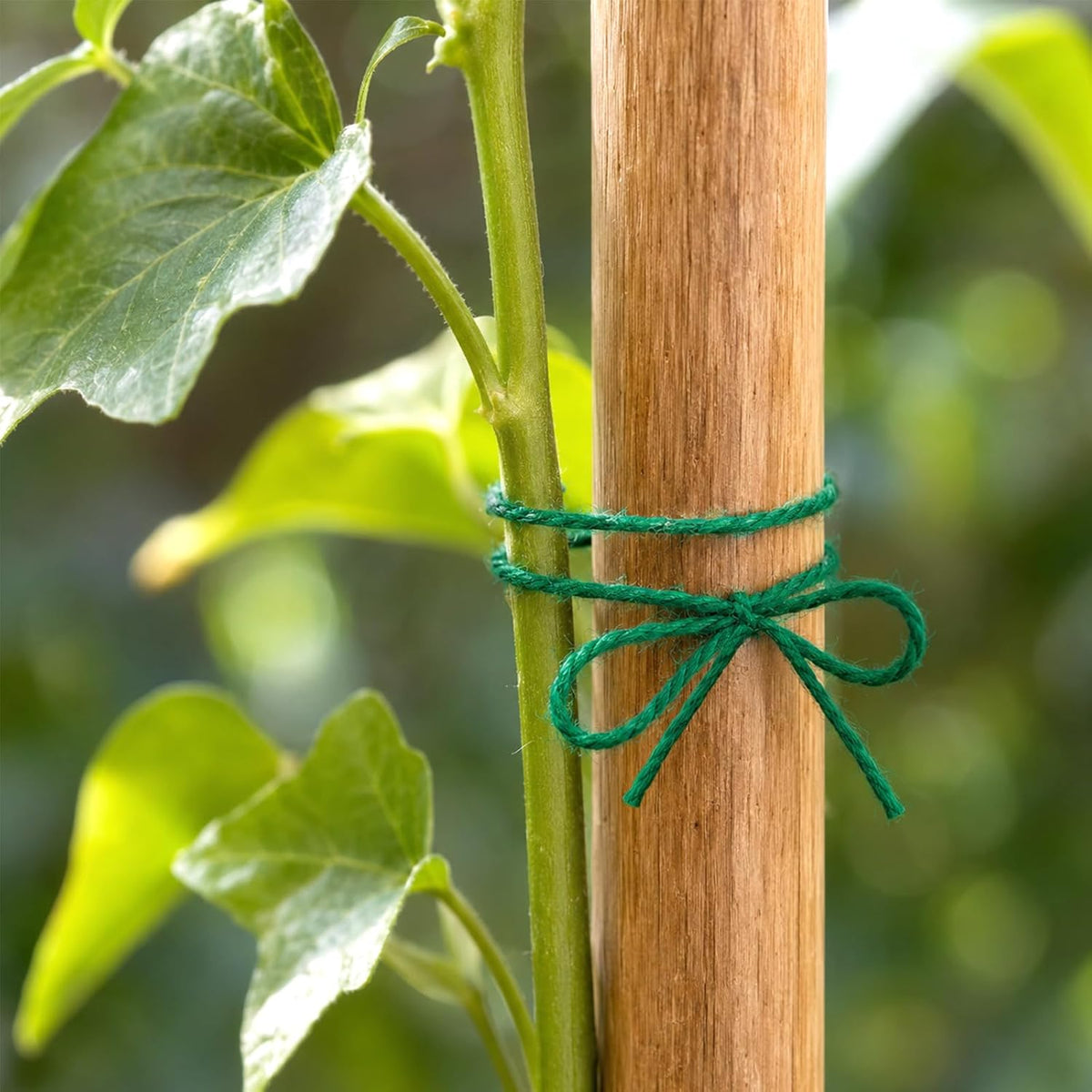 Green Jute Twine String 1312 Feet 2mm for Crafts Gift Wrapping