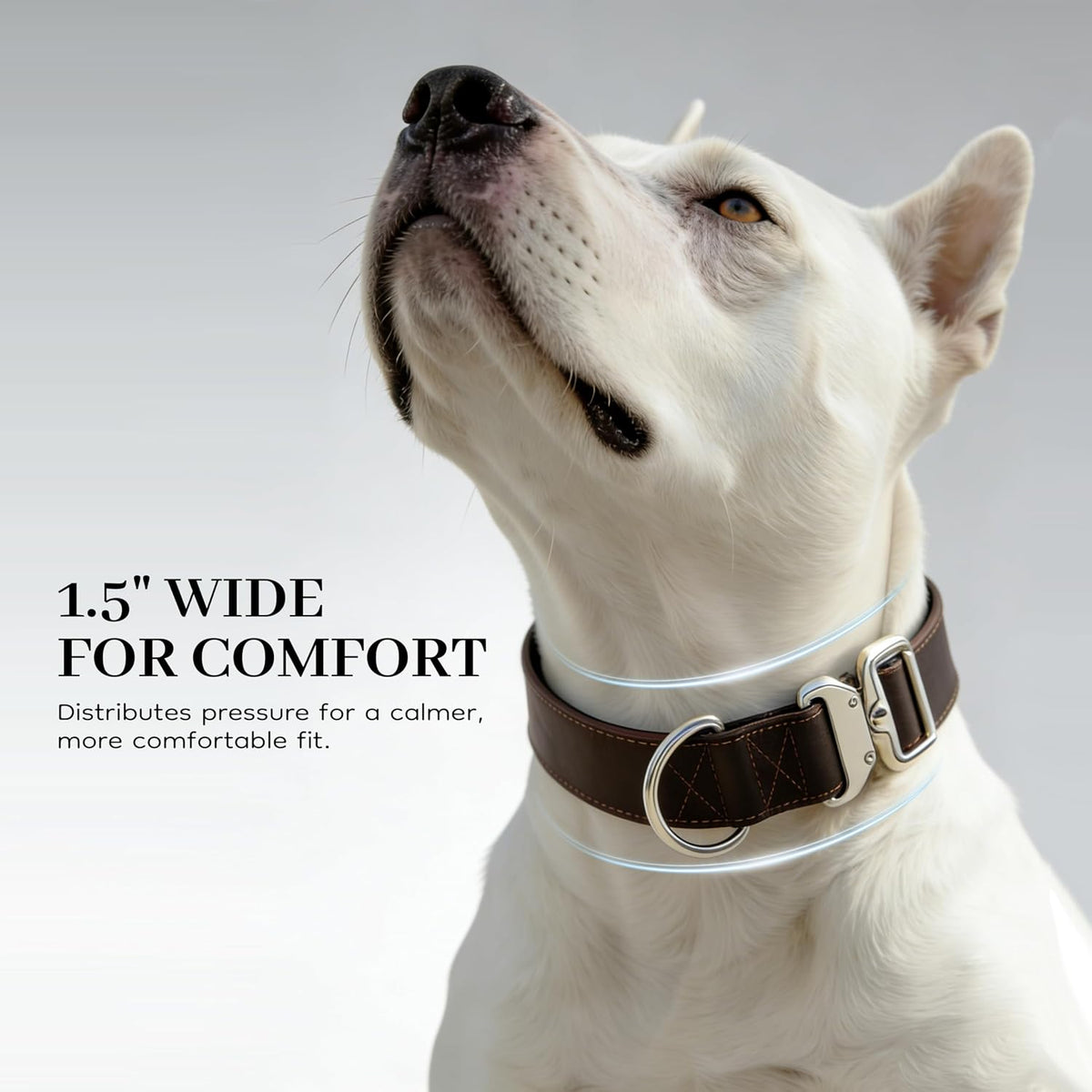 Leather Dog Collar 1.5in Wide, Quick-Release and Adjustable Design, Bn-Sl-L