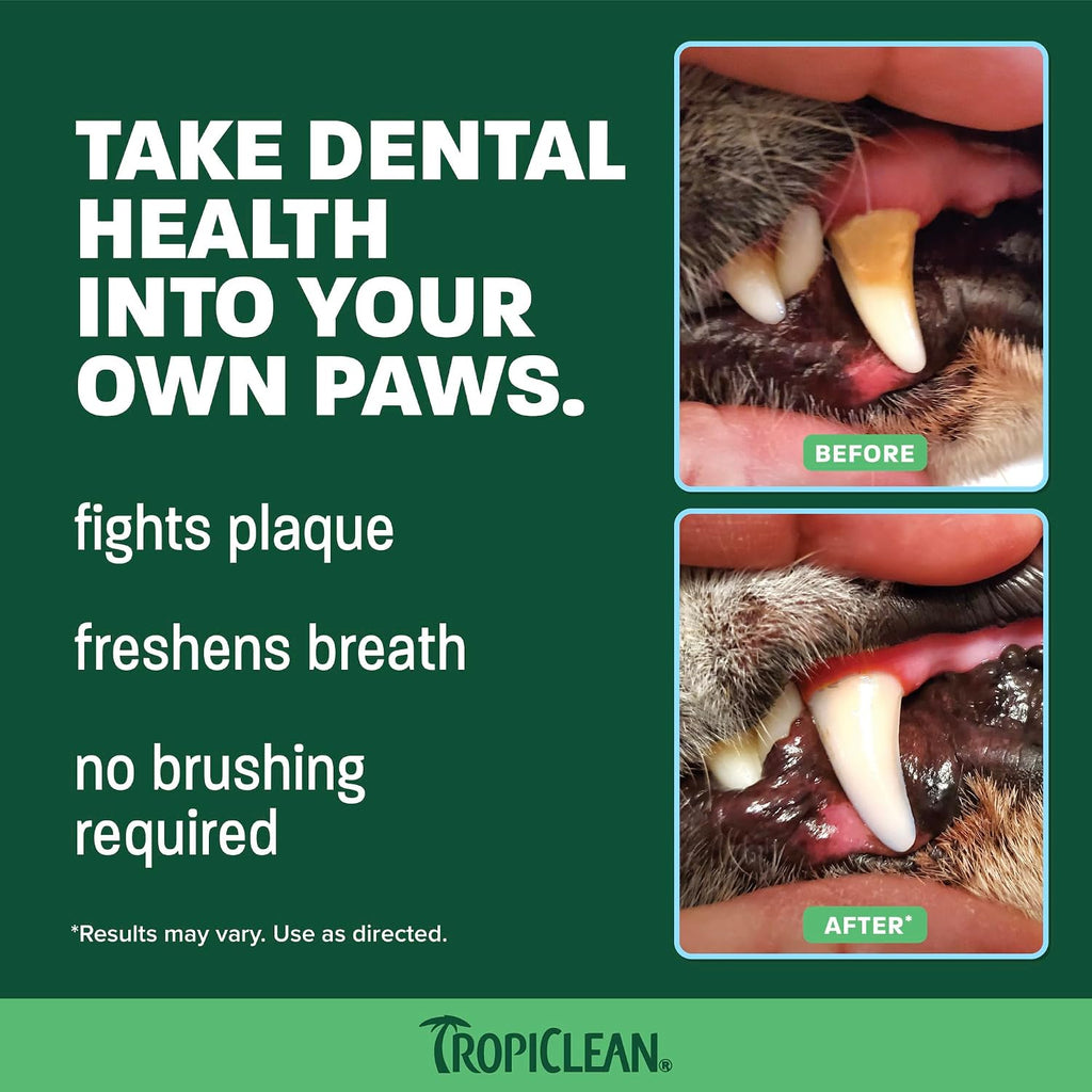 Clean Teeth Gel for Dogs | Dog Dental Care | Dog Toothpaste | Breath Freshener | Easy Teeth Cleaning | Made in the