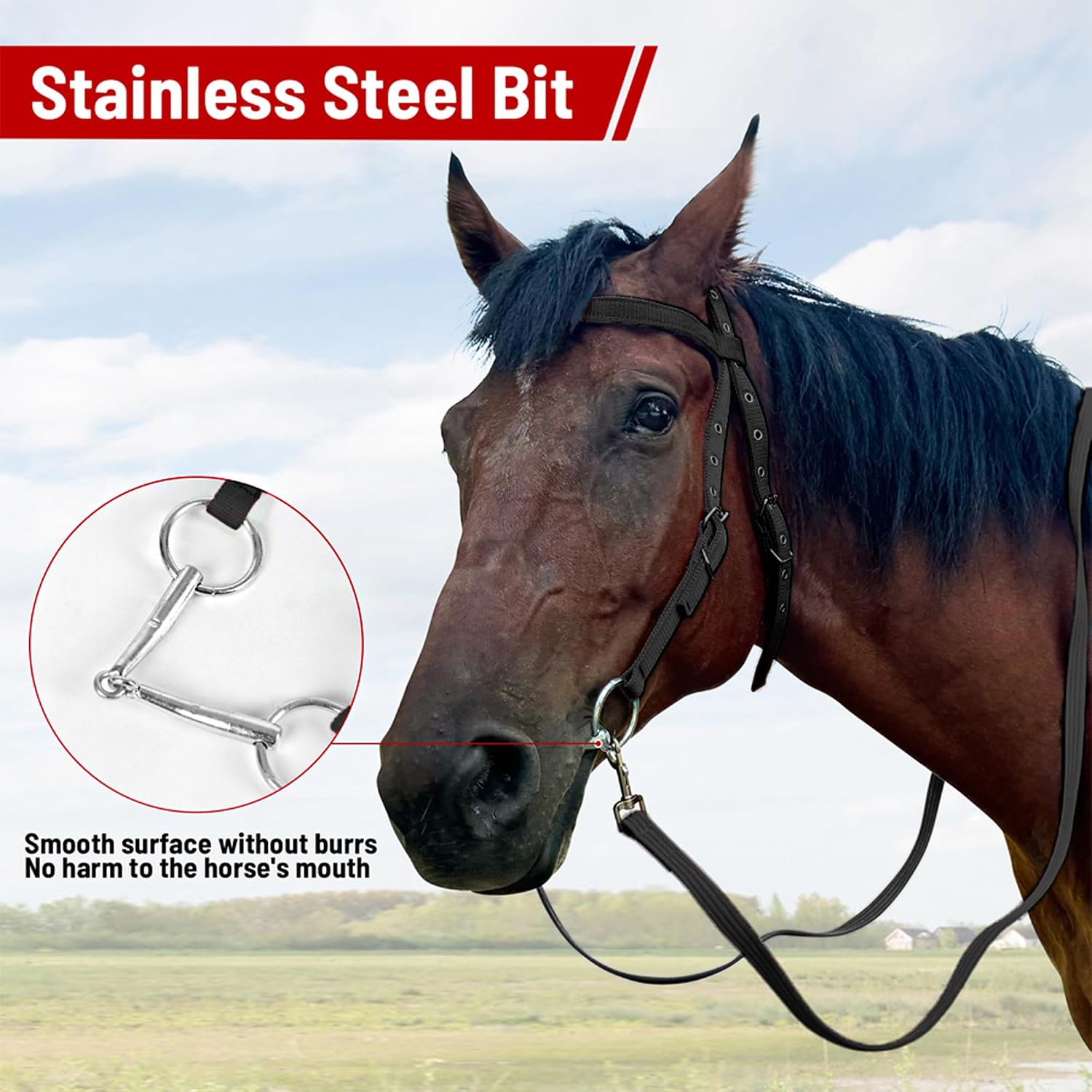 Adjustable Horse Bridle with Stainless Steel Bit - Equestrian Bridles and Horse Headstall（Black L