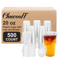 500 Pack 20 oz Disposable Clear Plastic Cups with Lids and Straws