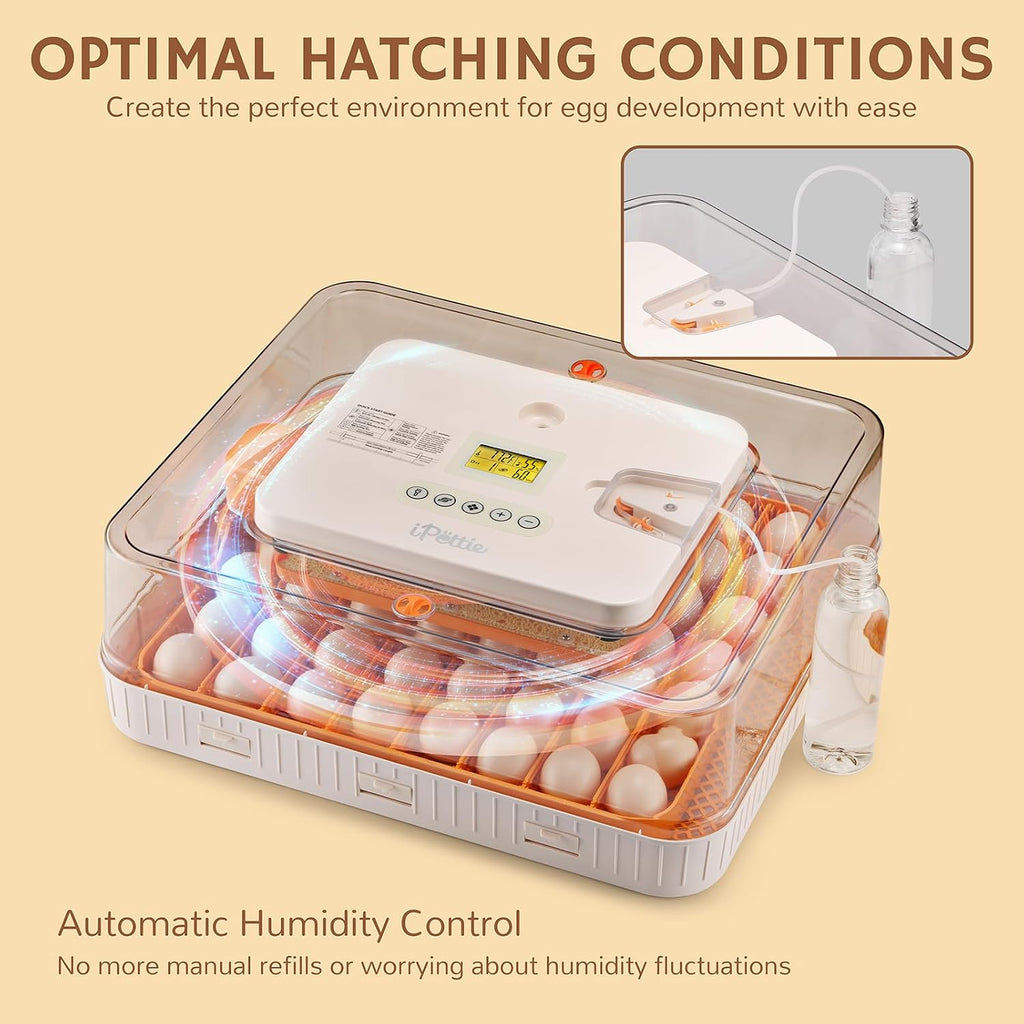 Nestasy ProHatch56 Egg Incubator with Automatic Egg Turning and Humidity Temperature Control, 56 Eggs Capacity for