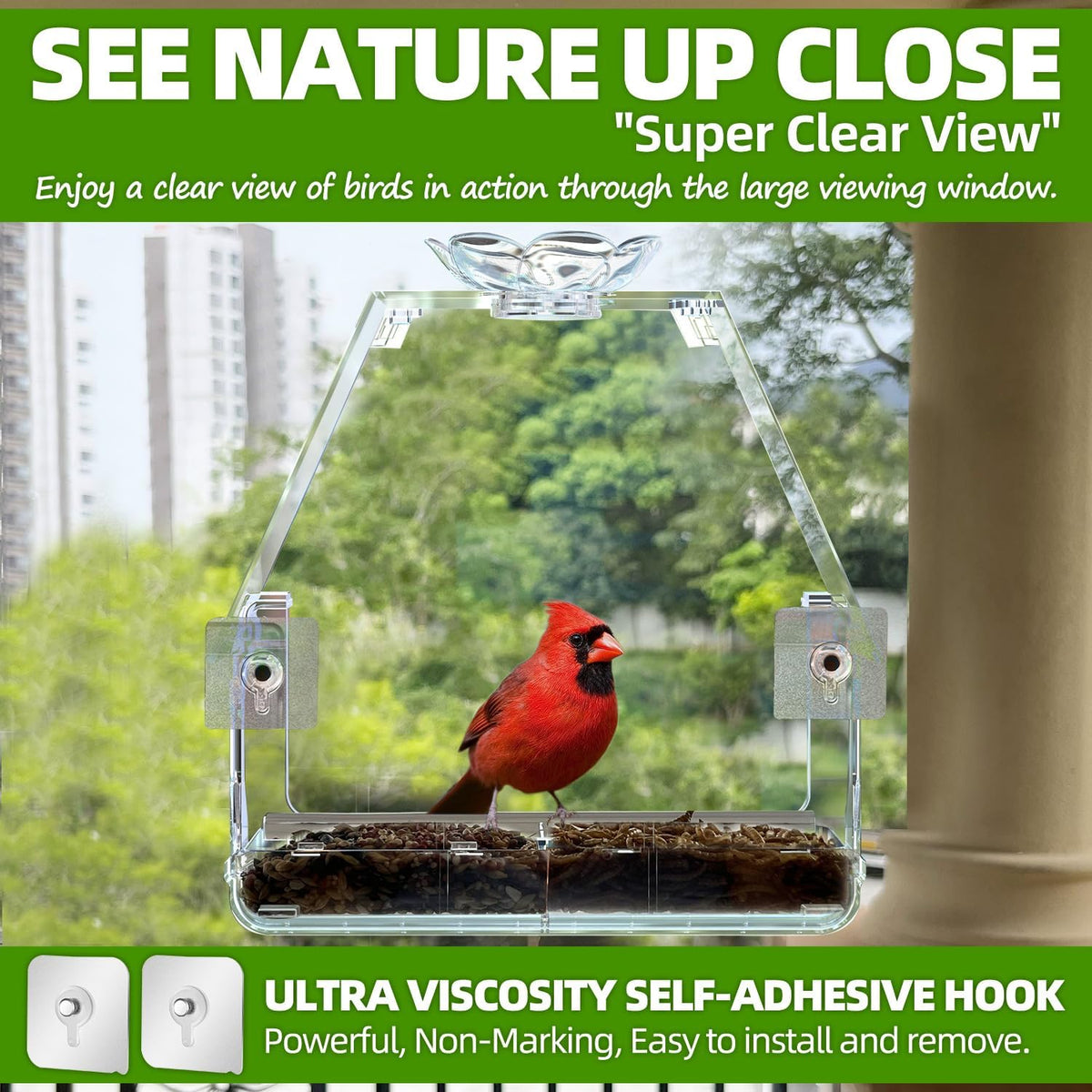 Window Bird Feeder with Non-Marking Self-Adhesive Hooks
