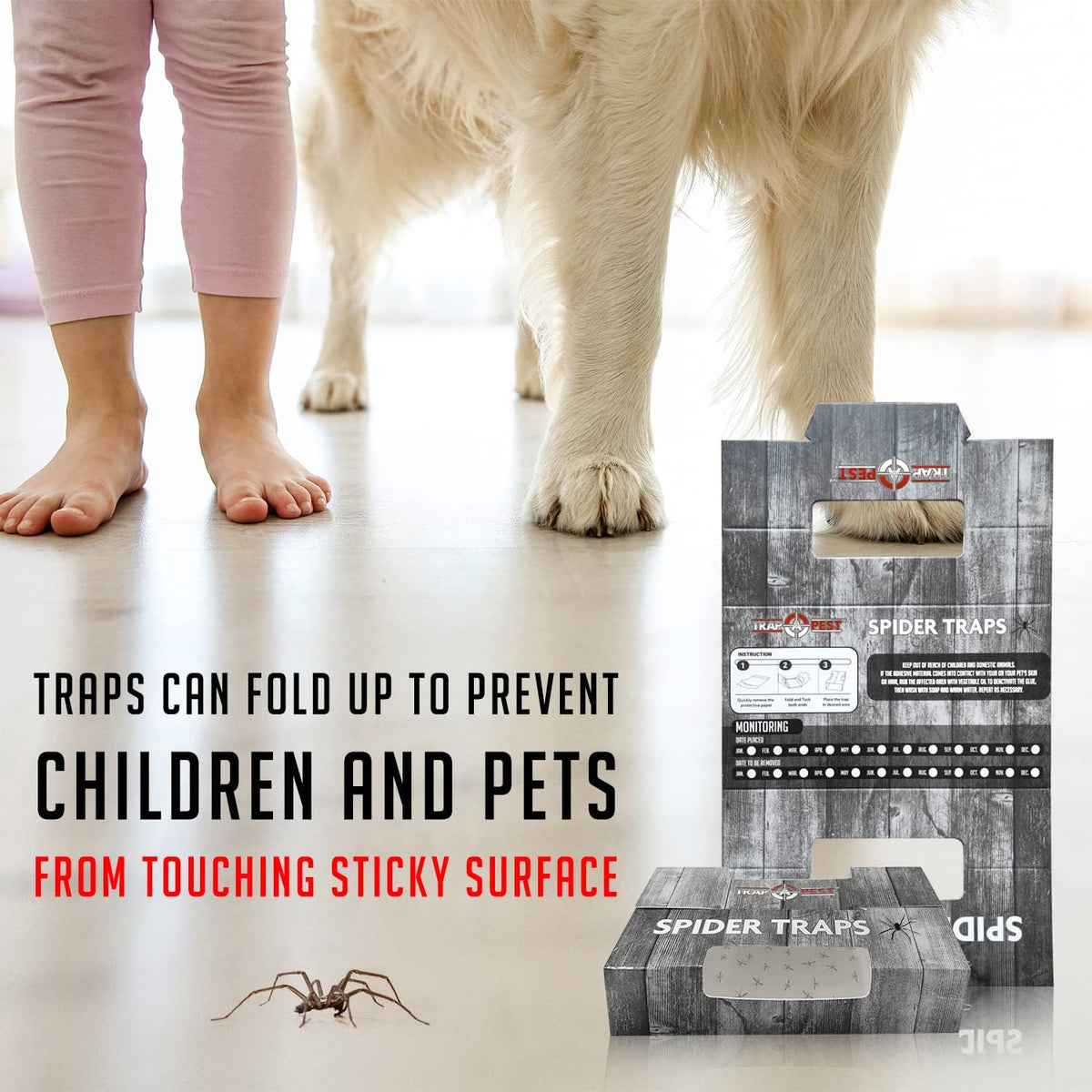 Trap a Pest Indoor Sticky Spider Traps - Glue Traps - 16 Pack