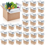 30 Pcs Insulated Shipping Box with Liner Bag, 9" x 5" x 6"