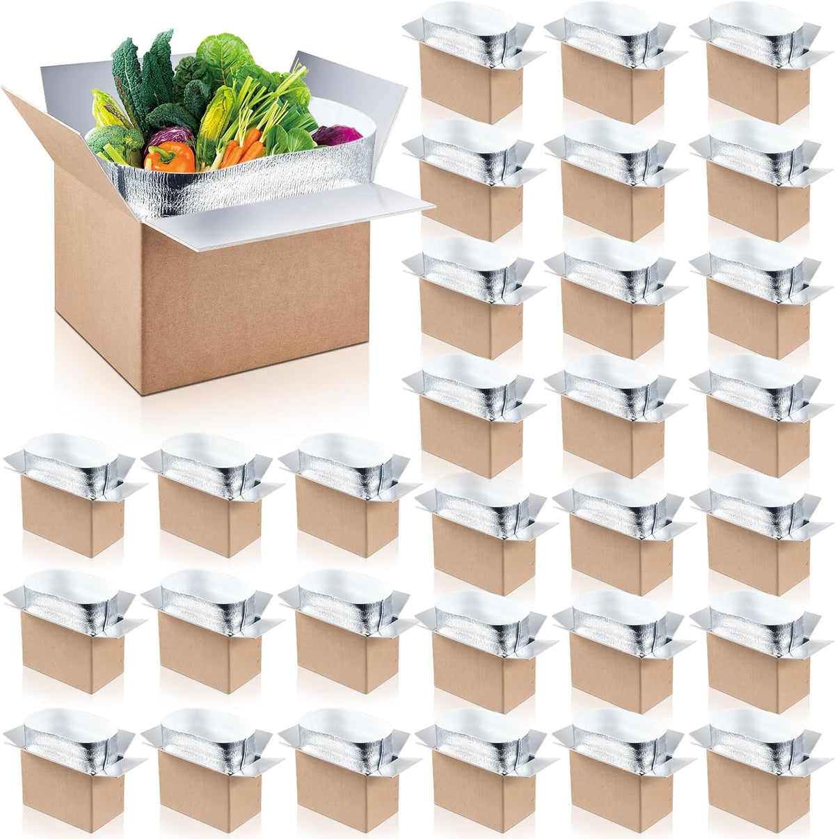 30 Pcs Insulated Shipping Box with Liner Bag, 9" x 5" x 6"