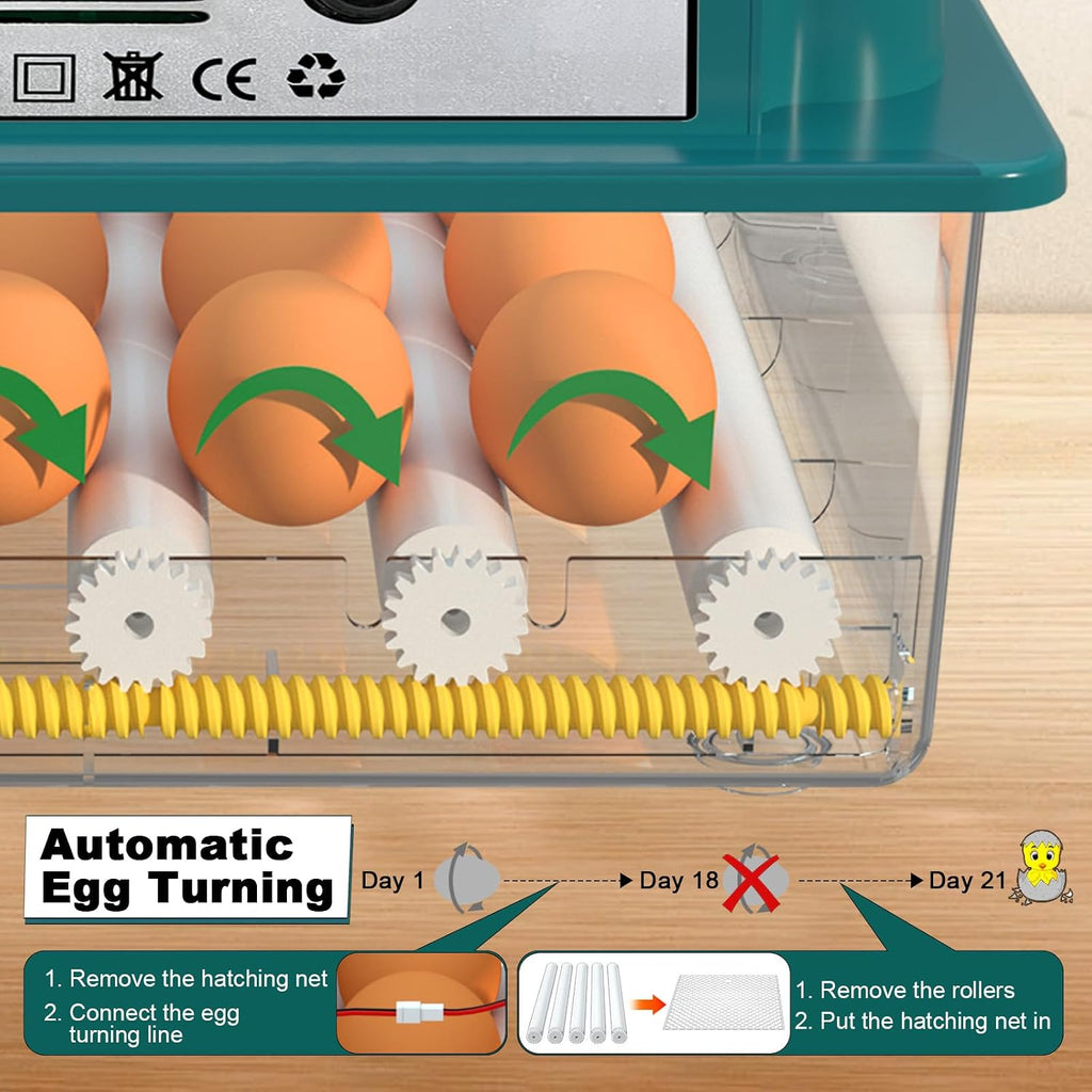 16 Eggs Incubators for Hatching Eggs, Egg Incubator with Automatic Egg Turning and Temperature Control, Chicken Egg