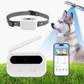 GPS Wireless Dog Fence System with App Control - No Subscription & No Wire, up to 984 FT IPX7 Waterproof Electric Pet