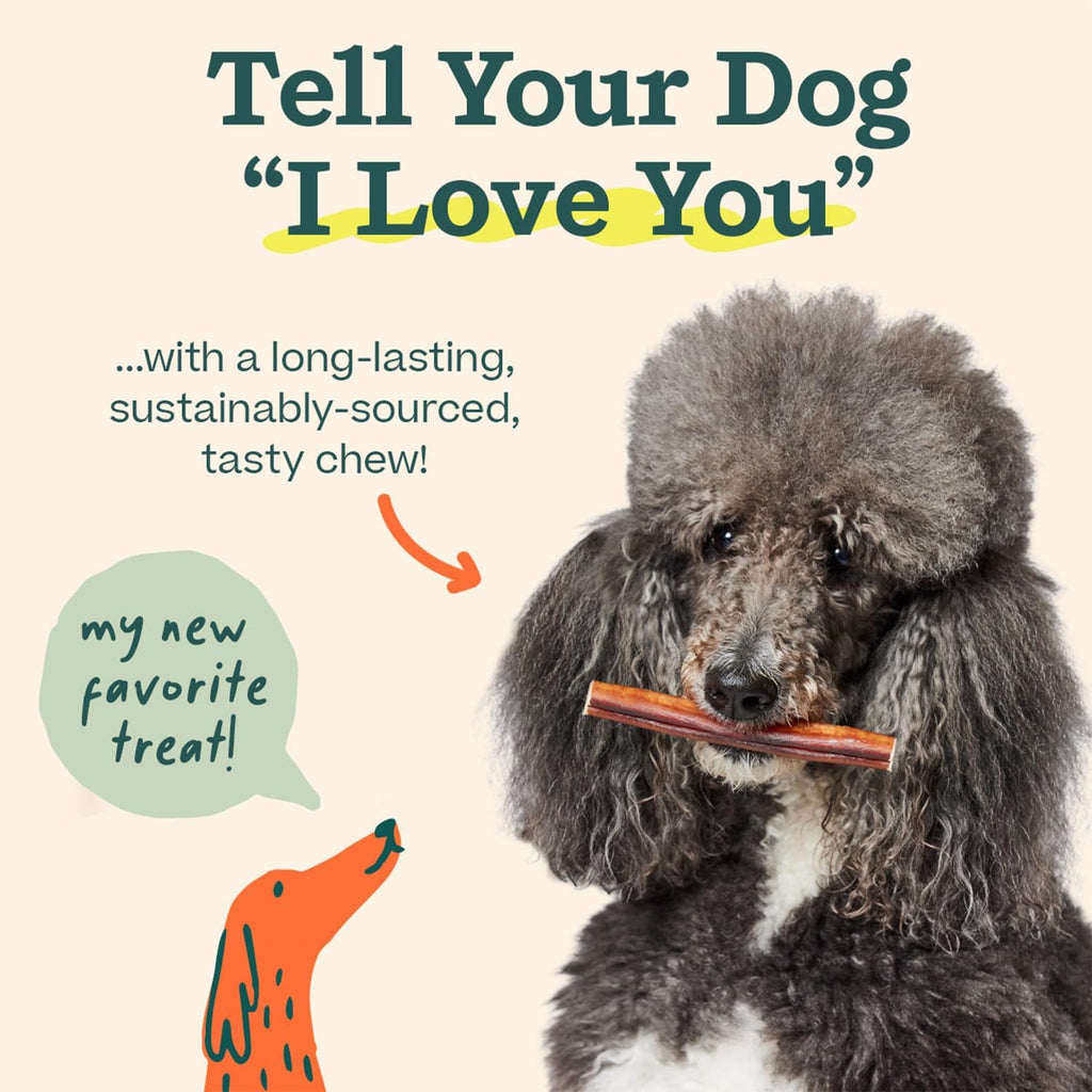 Bully Sticks Dog Chew Treats, 6 Inch, 5 Count