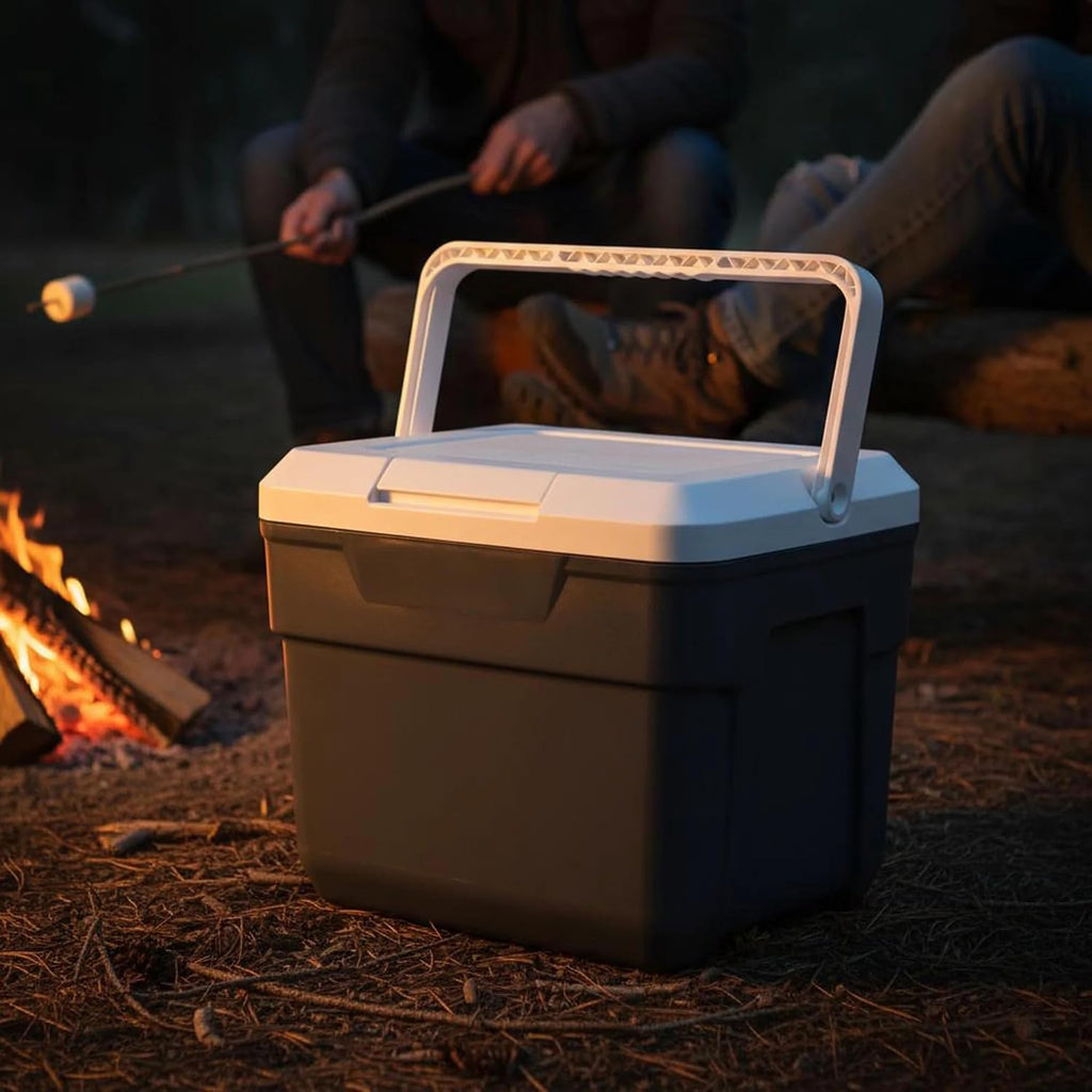10 Quart Hard Sided Cooler – Portable Ice Chest Holds 14 Cans, Lightweight 2.78 lbs with Swing-Up Handle for Camping