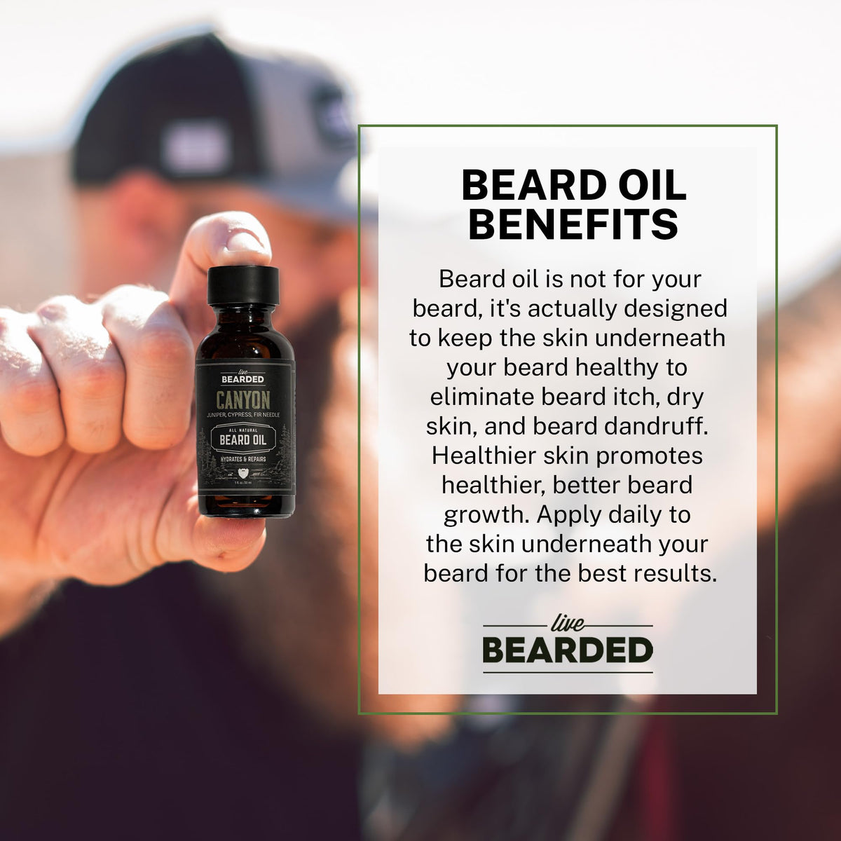 Beard Oil, Canyon, Juniper, Cypress, Fir Needle, 1 fl oz