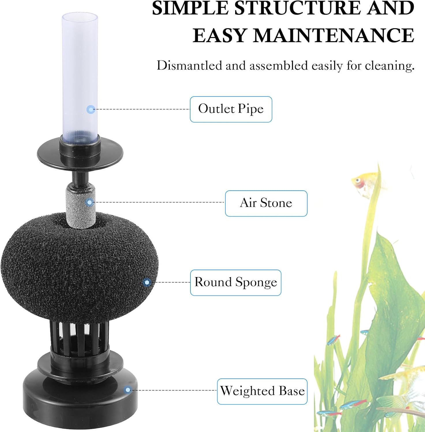 2 Pack Aquarium Bio Sponge Filter: Diameter 2.5in Mini Air-Powered Fish Tank Filter, Quiet Small Sponge Filter for up