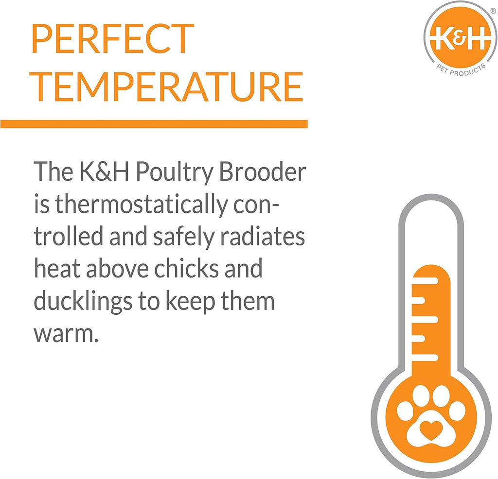K&H Brooder Plate, Thermo-Poultry Brooder, Safety Listed, Large 40 Watts