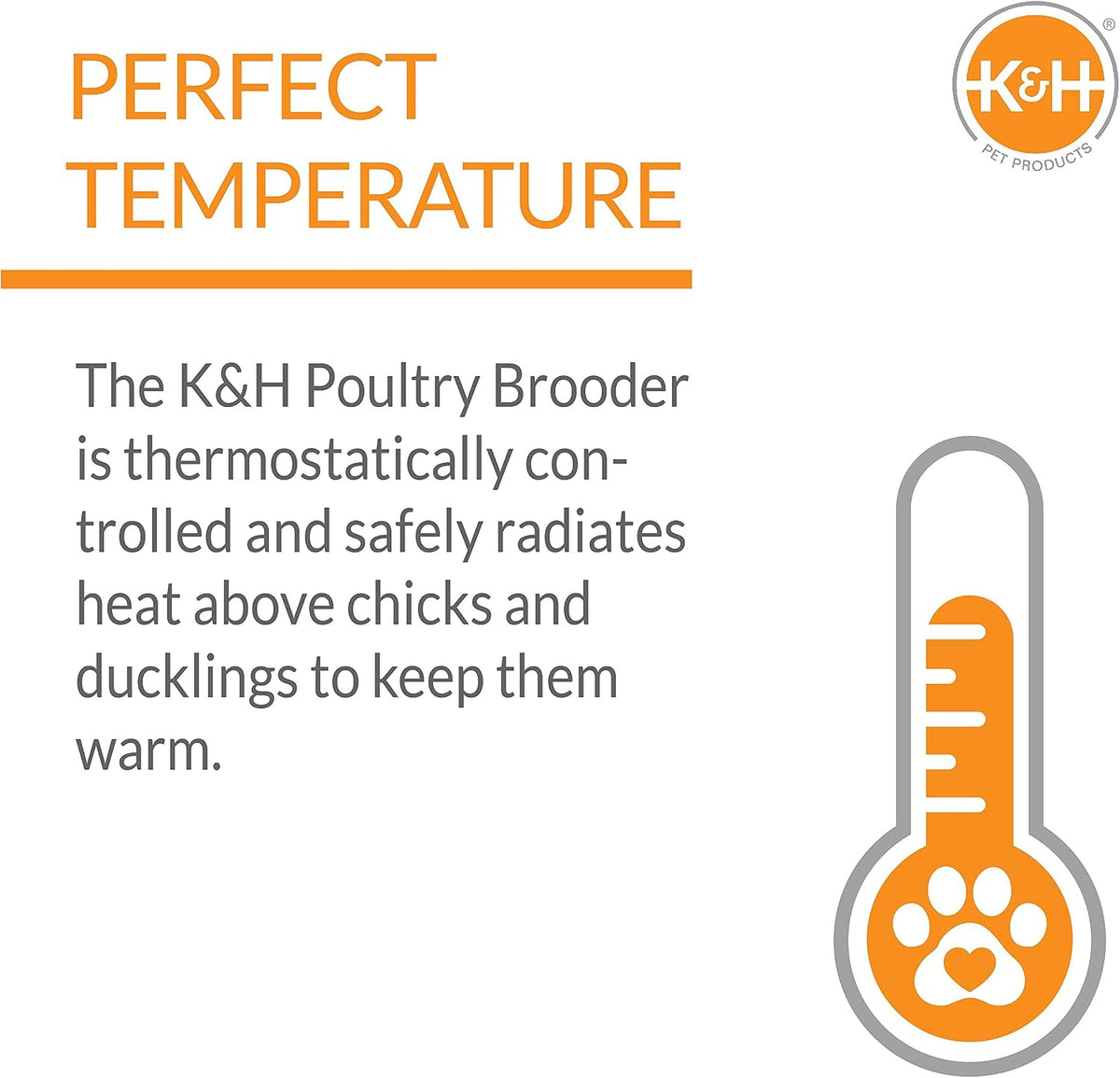 K&H Brooder Plate, Thermo-Poultry Brooder, Safety Listed, Large 40 Watts