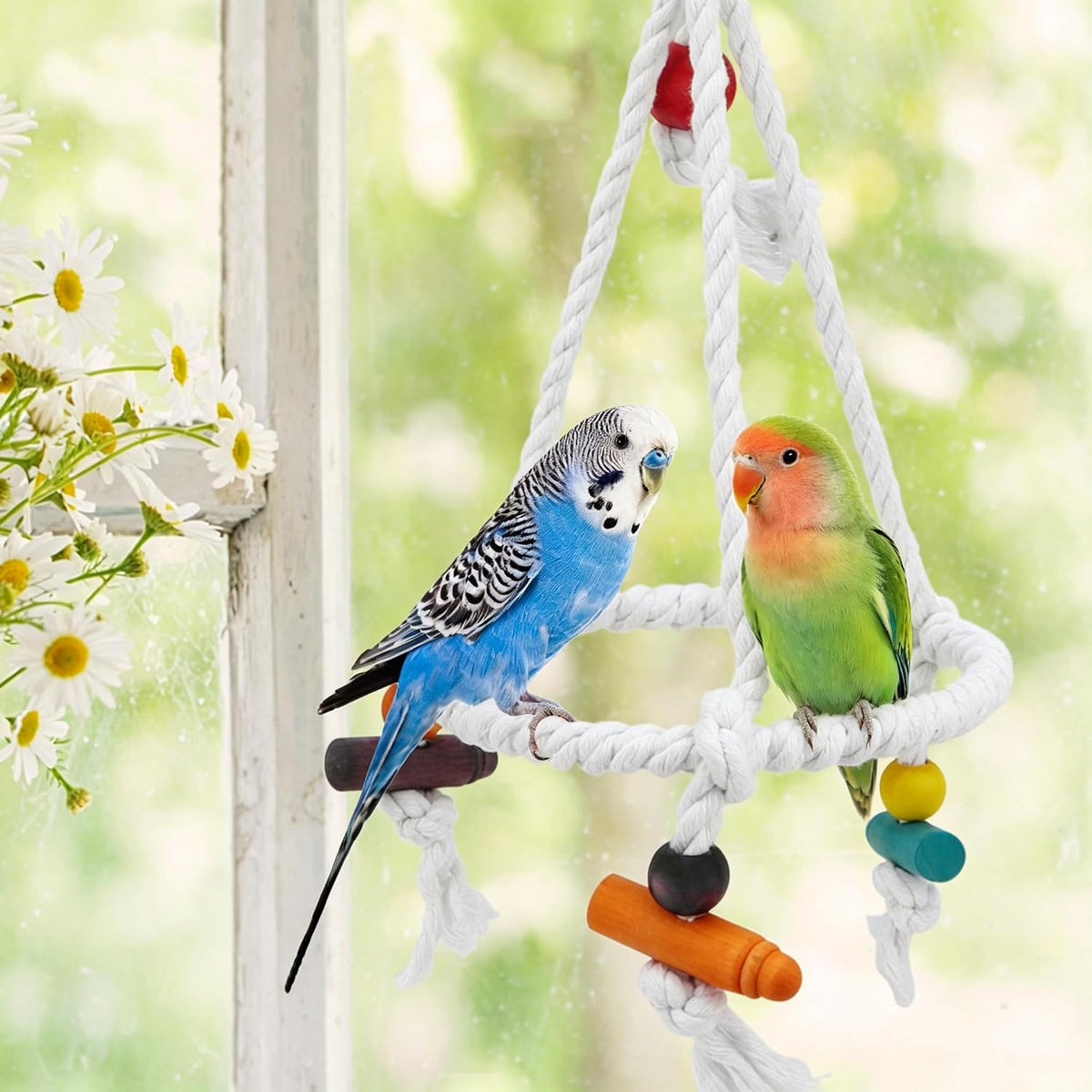 Bird Swing Multi Birds Cotton Rope Round Hanging Hammock Perch Toy