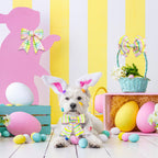 2 Rolls 2.5"×10 Easter Flag Ribbons Wired for Wreath Bow Wrapping (Easter)