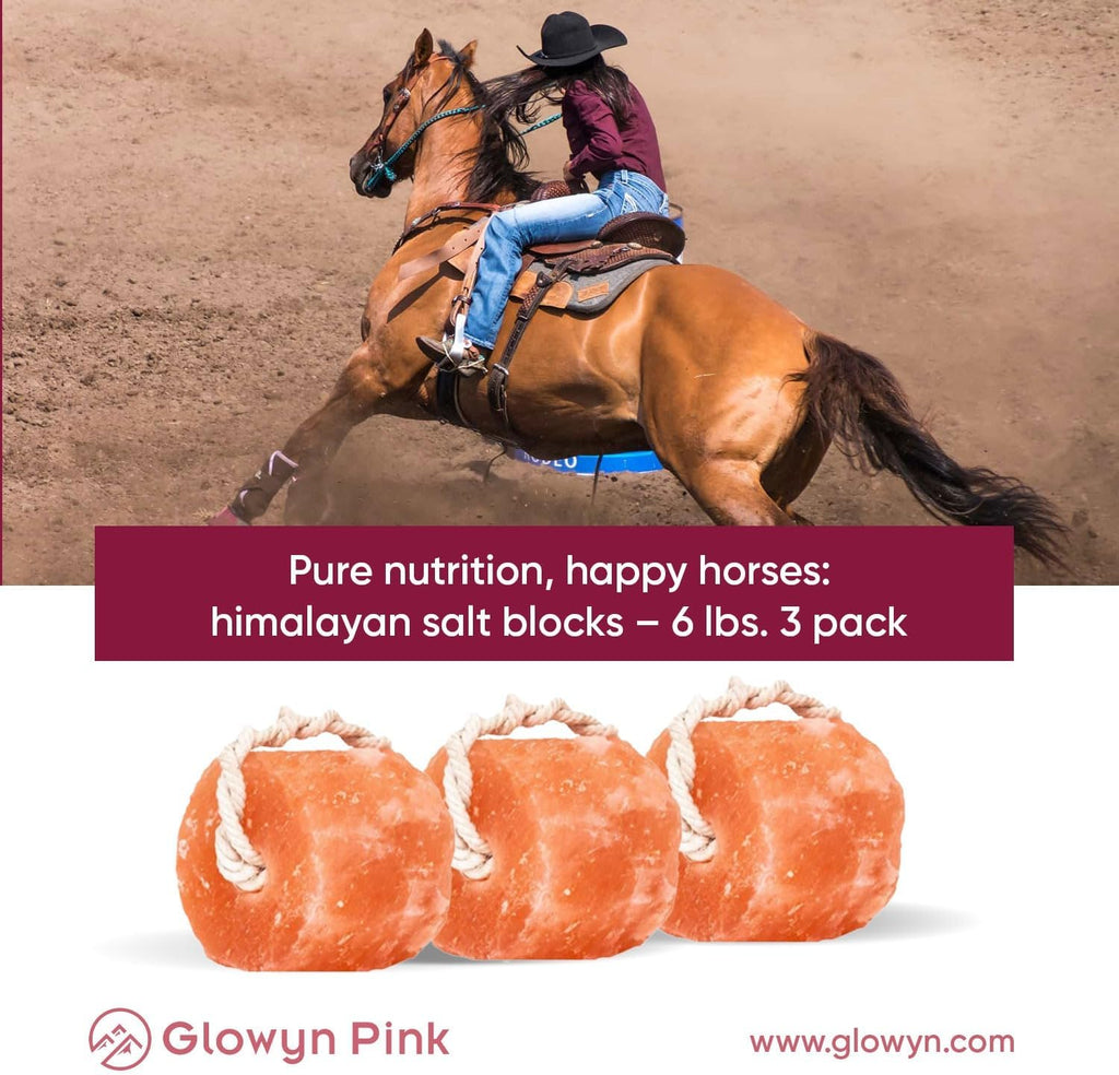Himalayan Pink Salt Lick Pack of 3 (6lbs Each Block)- Mineral Salt Block on Rope 100% Organic Pink Salt Block for