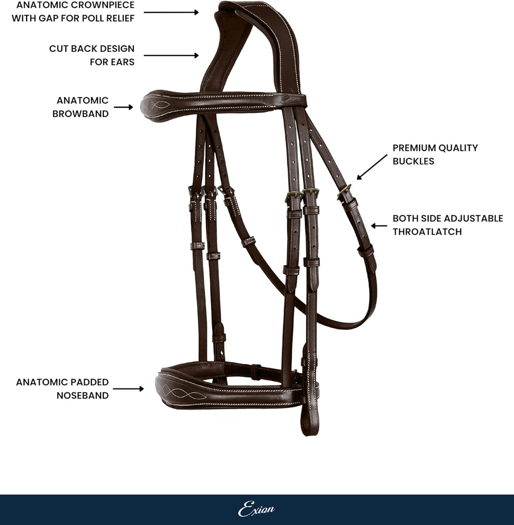 Exion Anatomic English Hunter Bridle with Padded Noseband & Rubber Reins
