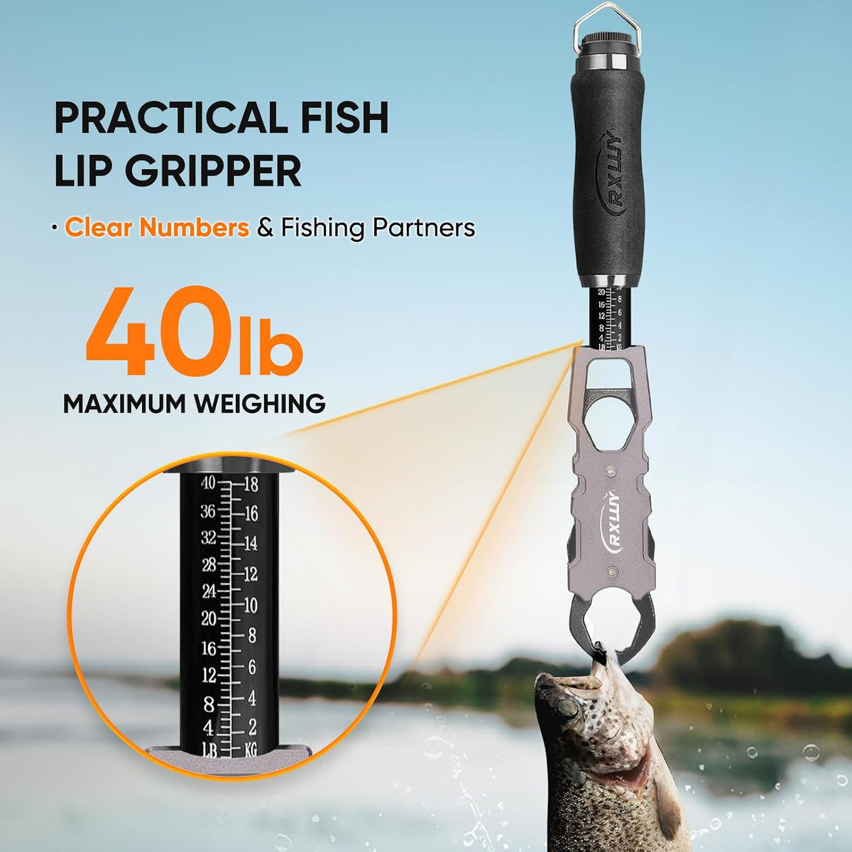 11.5" Fish Lip Gripper with Scale, Max 40lbs Scale, 360° Swivel Non-Slip Handle, Fish Grabber Control Tool for Safe